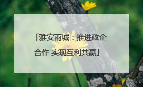 雅安雨城：推进政企合作 实现互利共赢