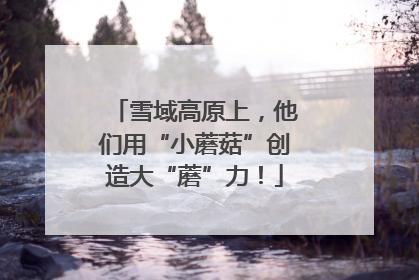 雪域高原上，他们用“小蘑菇”创造大“蘑”力！