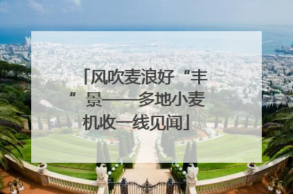 风吹麦浪好“丰”景——多地小麦机收一线见闻