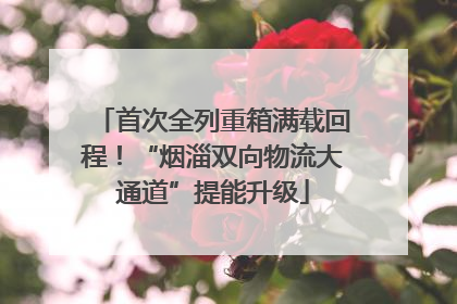 首次全列重箱满载回程！“烟淄双向物流大通道”提能升级