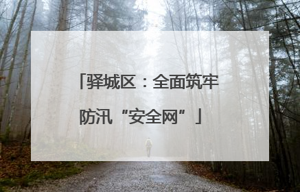 驿城区：全面筑牢防汛“安全网”