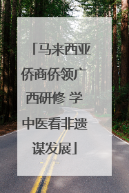 马来西亚侨商侨领广西研修 学中医看非遗谋发展