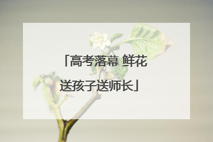 高考落幕 鲜花送孩子送师长