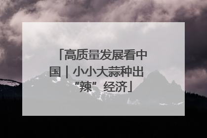 高质量发展看中国｜小小大蒜种出“辣”经济
