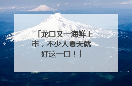 龙口又一海鲜上市，不少人夏天就好这一口！