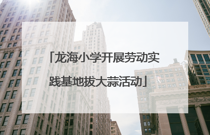 龙海小学开展劳动实践基地拔大蒜活动