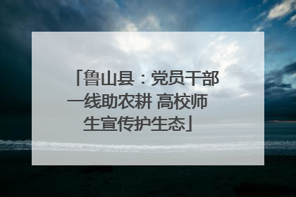 鲁山县：党员干部一线助农耕 高校师生宣传护生态