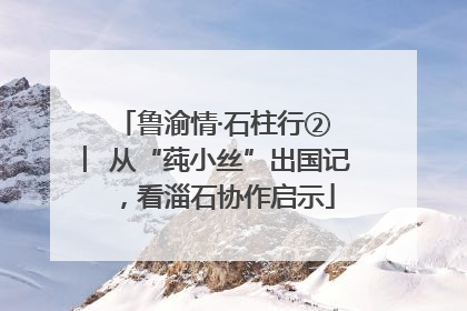 鲁渝情·石柱行② ︳从“莼小丝”出国记，看淄石协作启示
