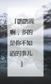 鹮鹮我啊，多的是你不知道的事儿