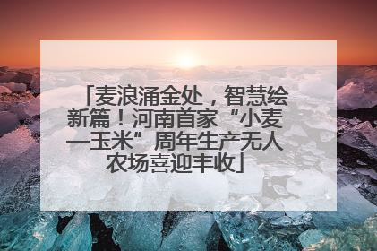麦浪涌金处，智慧绘新篇！河南首家“小麦—玉米”周年生产无人农场喜迎丰收