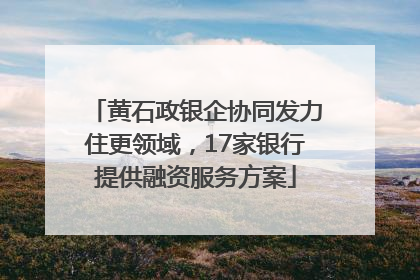 黄石政银企协同发力住更领域，17家银行提供融资服务方案