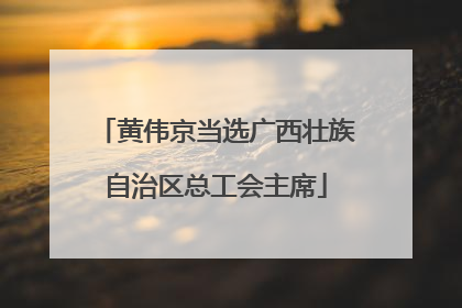 黄伟京当选广西壮族自治区总工会主席