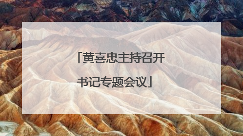 黄喜忠主持召开书记专题会议