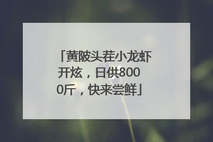 黄陂头茬小龙虾开炫，日供8000斤，快来尝鲜