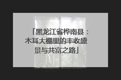 黑龙江省桦南县：木耳大棚里的丰收盛景与共富之路
