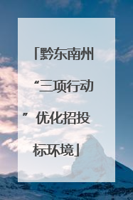 黔东南州“三项行动”优化招投标环境