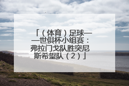 （体育）足球——世俱杯小组赛：弗拉门戈队胜突尼斯希望队（2）