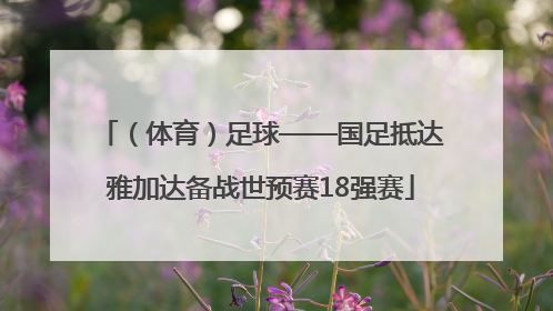 （体育）足球——国足抵达雅加达备战世预赛18强赛
