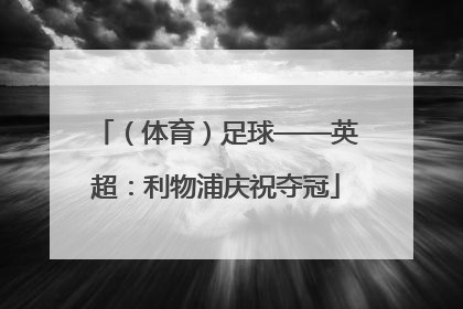 （体育）足球——英超：利物浦庆祝夺冠