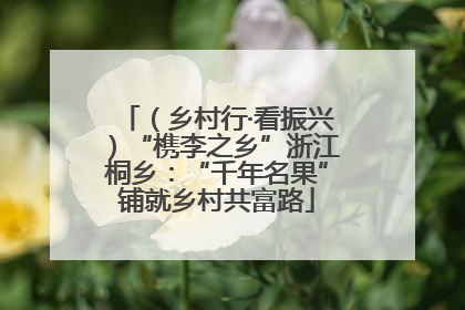 （乡村行·看振兴）“槜李之乡”浙江桐乡：“千年名果”铺就乡村共富路