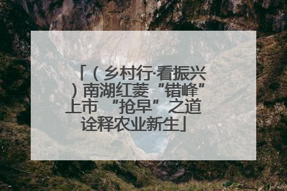 （乡村行·看振兴）南湖红菱“错峰”上市 “抢早”之道诠释农业新生