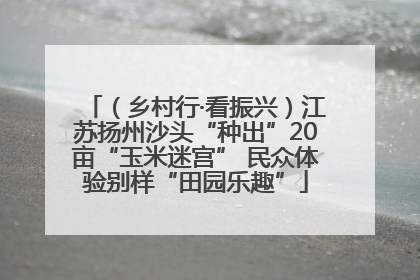 （乡村行·看振兴）江苏扬州沙头“种出”20亩“玉米迷宫” 民众体验别样“田园乐趣”