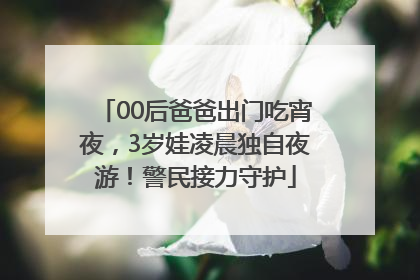 00后爸爸出门吃宵夜，3岁娃凌晨独自夜游！警民接力守护