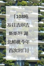 108吨发往吉尔吉斯斯坦 湖北鲜桃今年首次出口