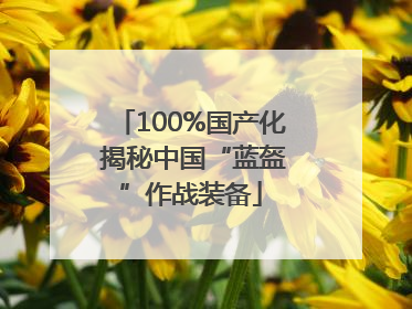 100%国产化 揭秘中国“蓝盔”作战装备