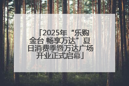 2025年“乐购金台 畅享万达”夏日消费季暨万达广场开业正式启幕