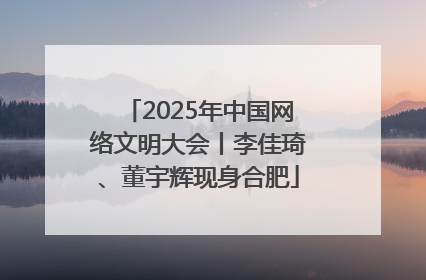 2025年中国网络文明大会丨李佳琦、董宇辉现身合肥