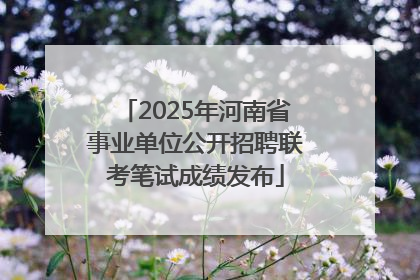 2025年河南省事业单位公开招聘联考笔试成绩发布