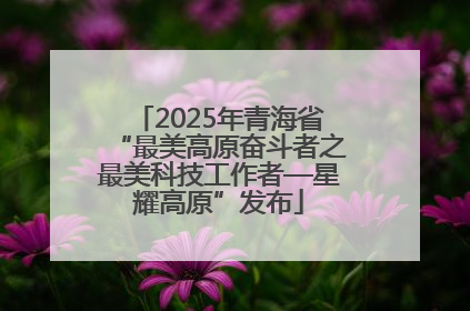 2025年青海省“最美高原奋斗者之最美科技工作者—星耀高原”发布