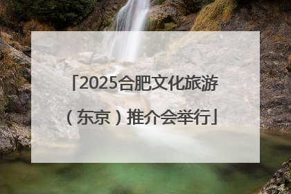 2025合肥文化旅游（东京）推介会举行
