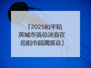 2025和平精英城市赛总决赛在岳阳市圆满落幕