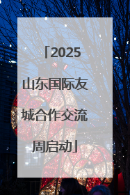 2025山东国际友城合作交流周启动