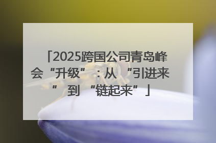 2025跨国公司青岛峰会“升级”：从 “引进来” 到 “链起来”