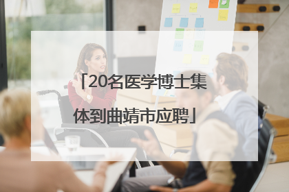 20名医学博士集体到曲靖市应聘