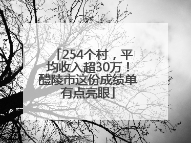 254个村，平均收入超30万！醴陵市这份成绩单有点亮眼