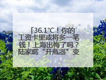 36.1℃！你的工资卡里或将多一笔钱！上海出梅了吗？陆家嘴“开瓶器”变“加湿器”？