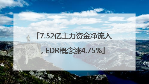 7.52亿主力资金净流入，EDR概念涨4.75%