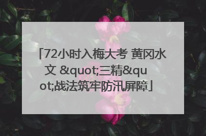 72小时入梅大考 黄冈水文 "三精"战法筑牢防汛屏障
