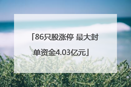86只股涨停 最大封单资金4.03亿元