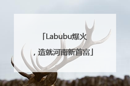 Labubu爆火，造就河南新首富