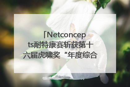 Netconcepts耐特康赛斩获第十六届虎啸奖“年度综合服务商”大奖
