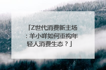 Z世代消费新主场：羊小咩如何重构年轻人消费生态？
